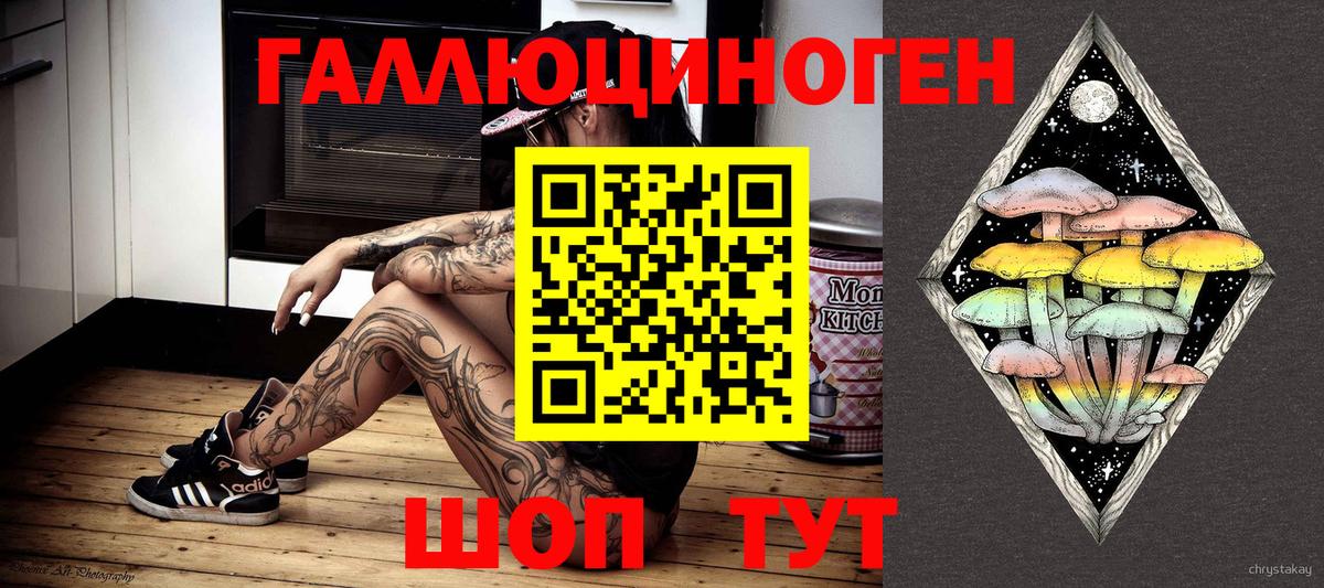 Псилоцибиновые грибы мицелий Санкт-Петербург